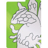 Pokémon Ascesa Eroica Fuoriclasse Box Carte Promo Olografica ITA